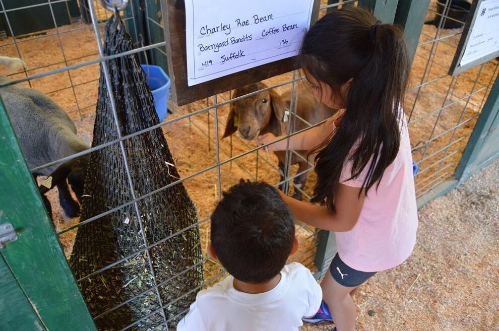 HR Co. fair